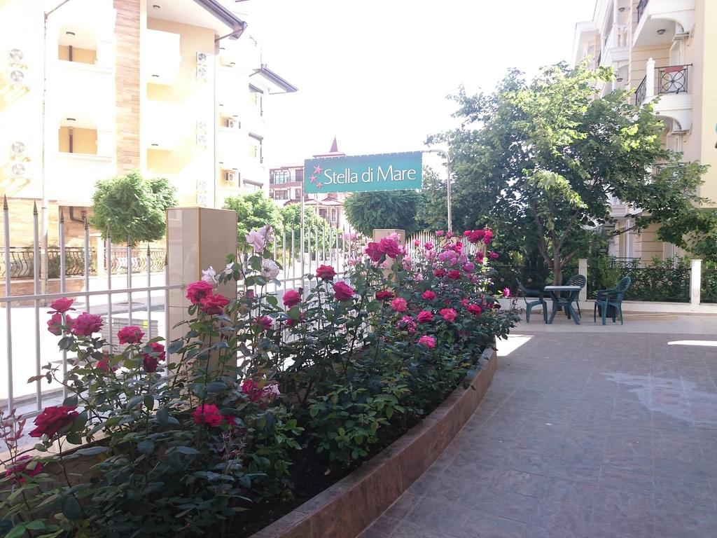 Stella 2*,  Nessebar