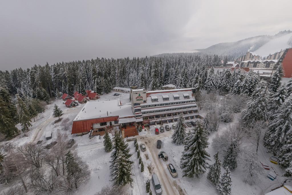 MURA BOROVETS