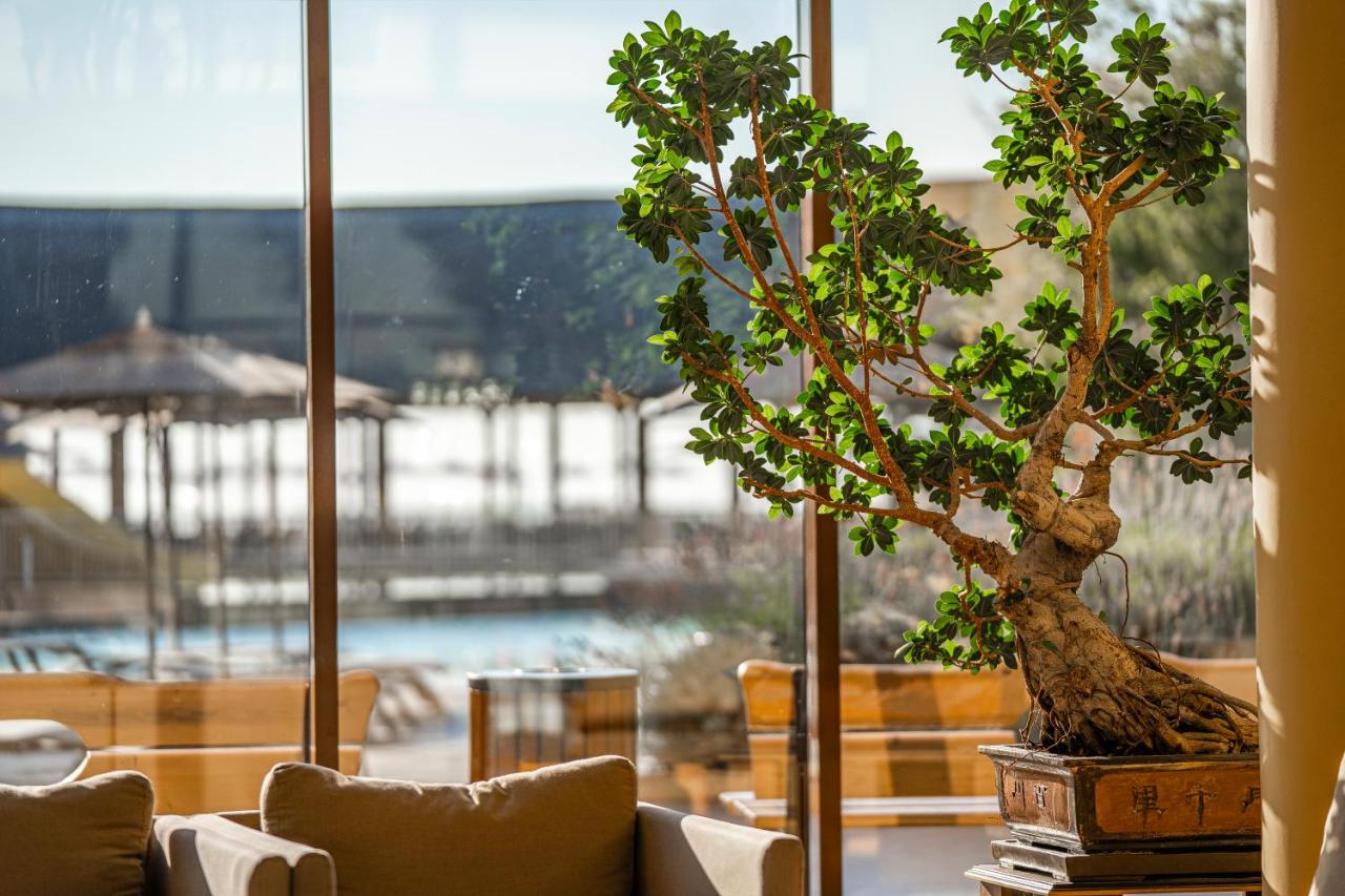 HVD Club hotel MIRAMAR