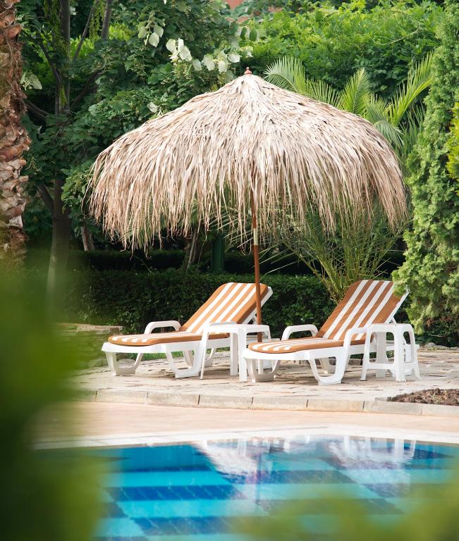 Alba 4*    Sunny beach