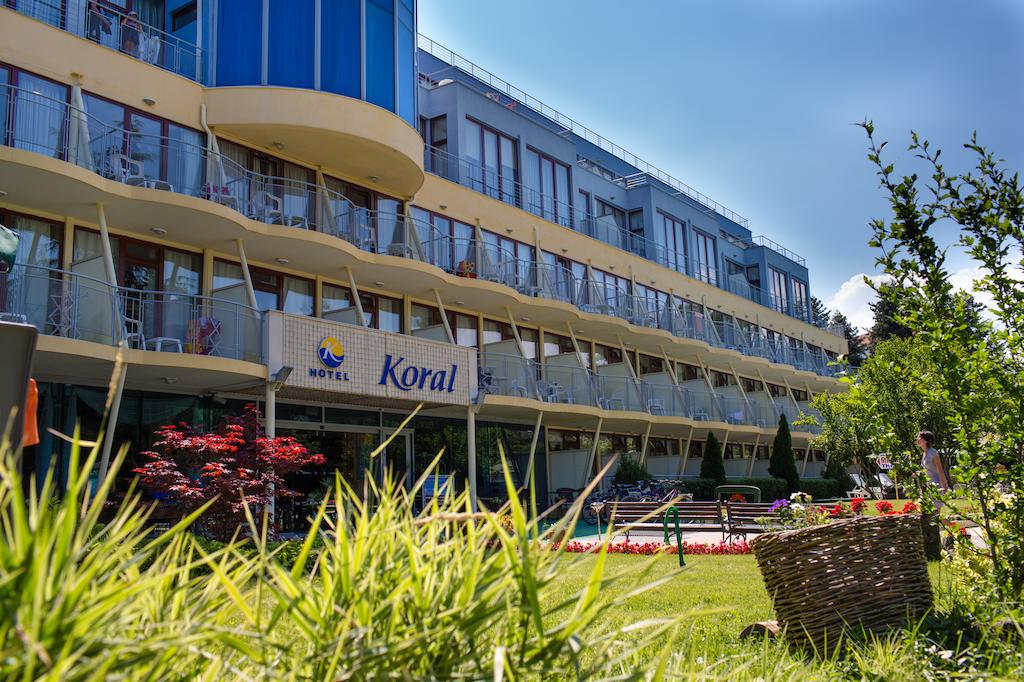 Koral