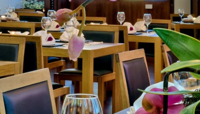 Grifid hotels Bolero