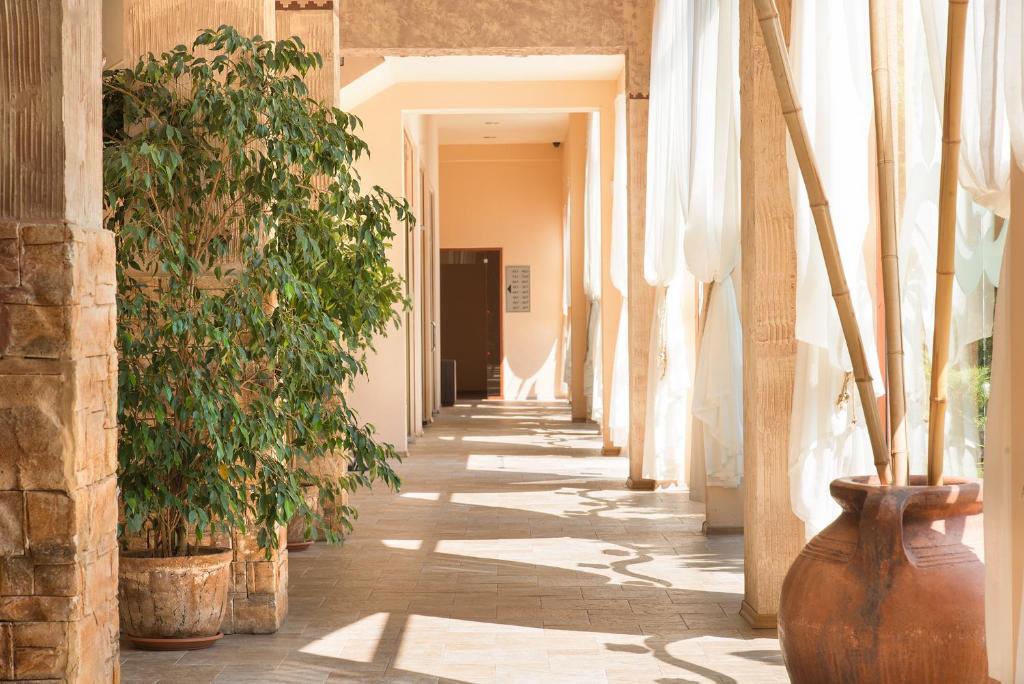 Alba 4*    Sunny beach