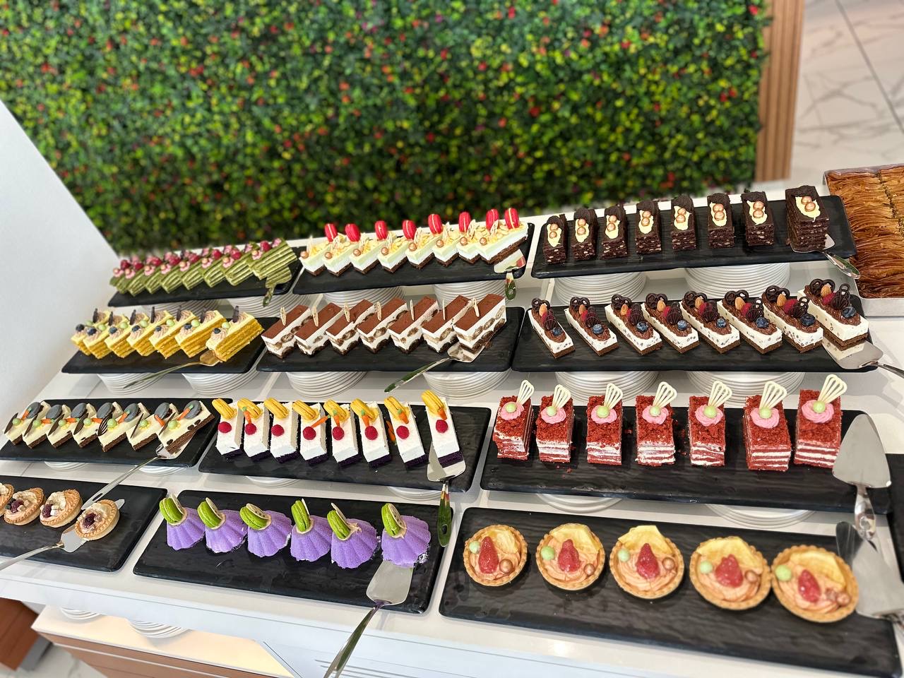 Bavaro (ex. Korona) ****