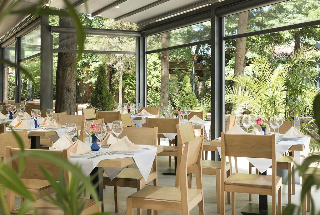 HVD Club Bor, Солнечный берег