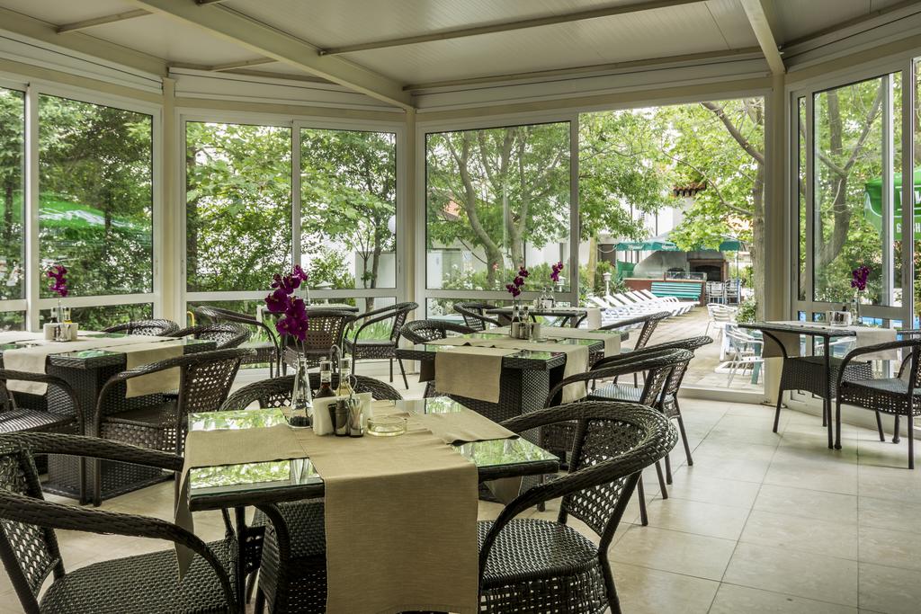 Svejest, Солнечный берег