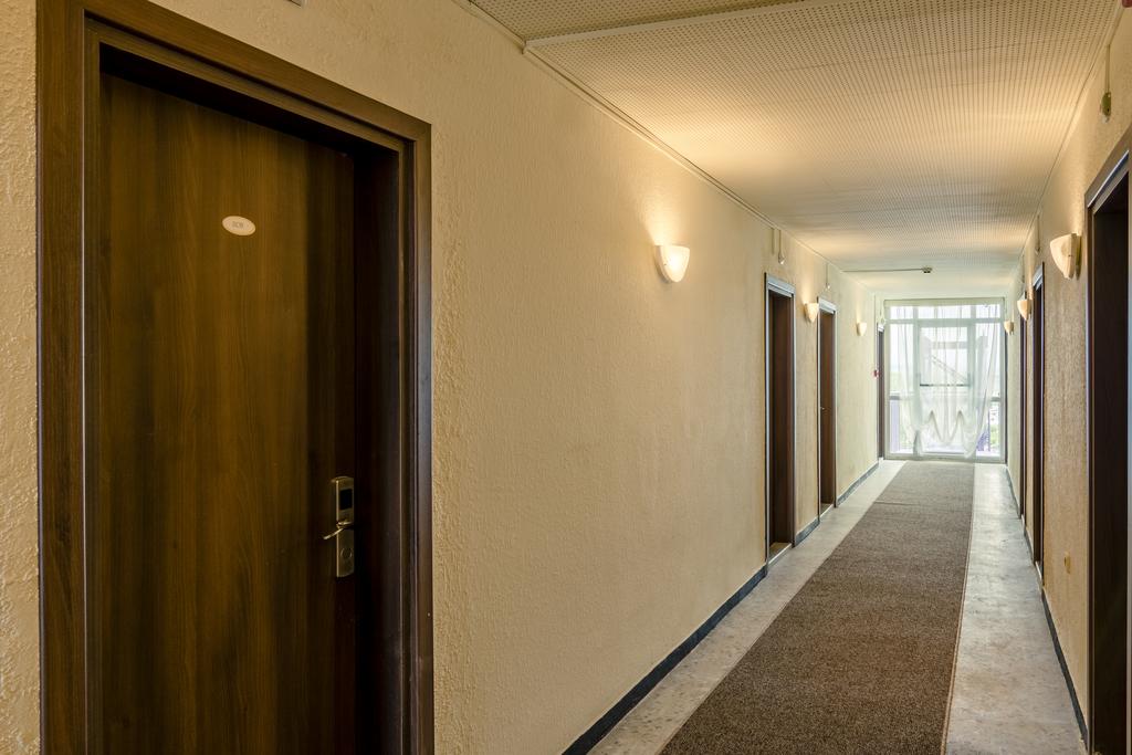 Svejest, Солнечный берег