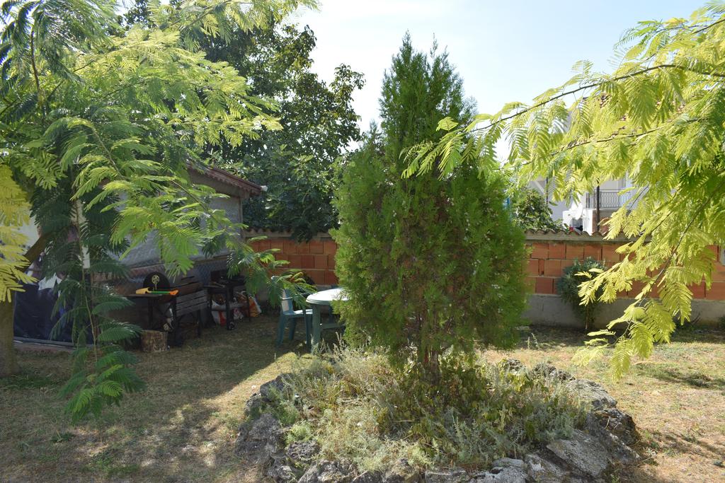 Sunny - Viki Guest House