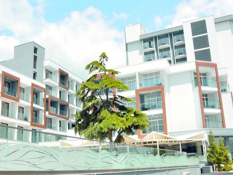 Grifid Sentido Marea