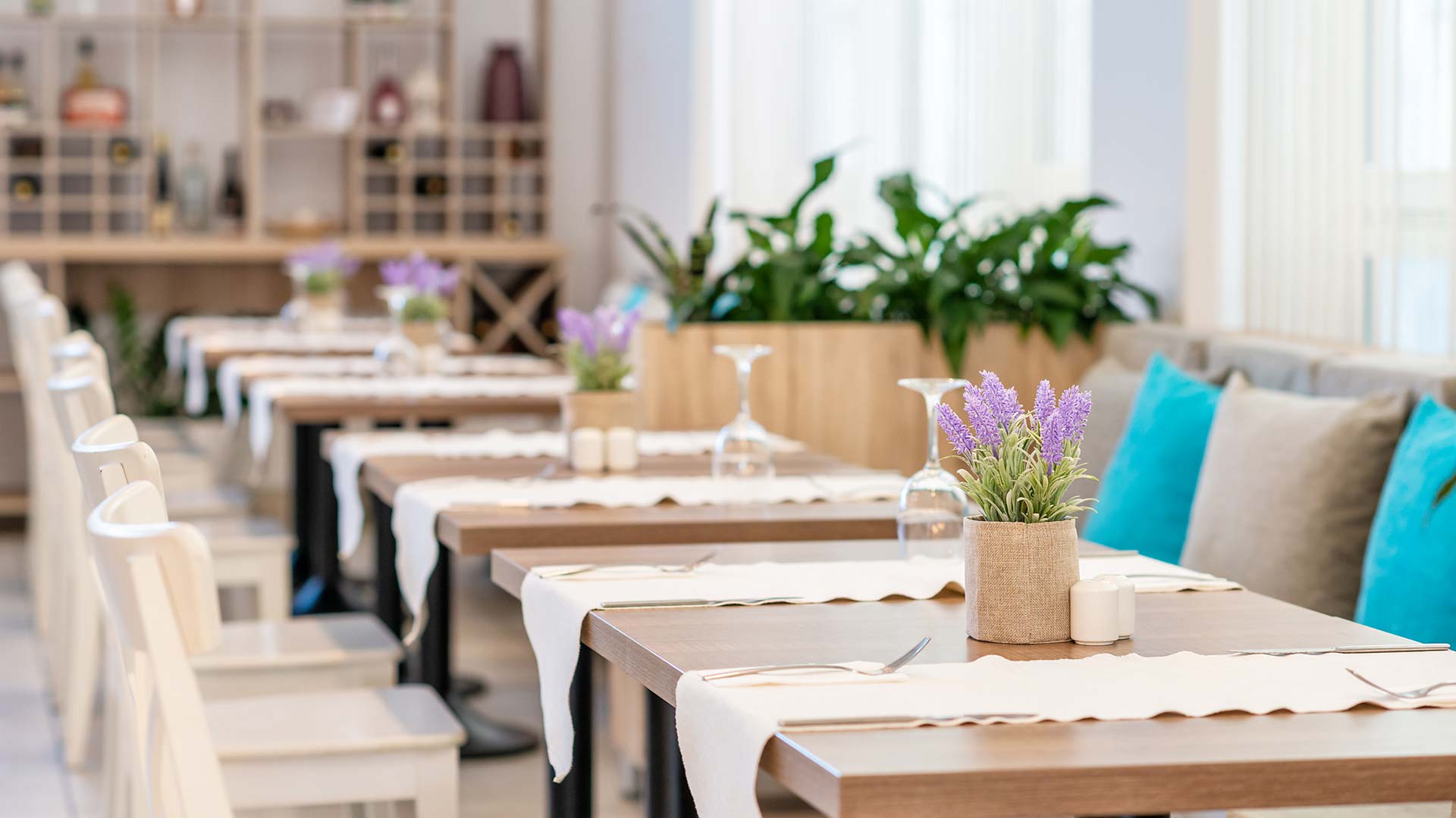 iHot@l /FORMER STRANDJA/