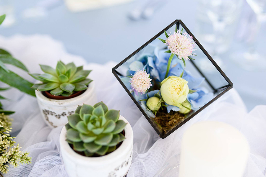 Oasis Premium Apart Hotel 3* Лозенец