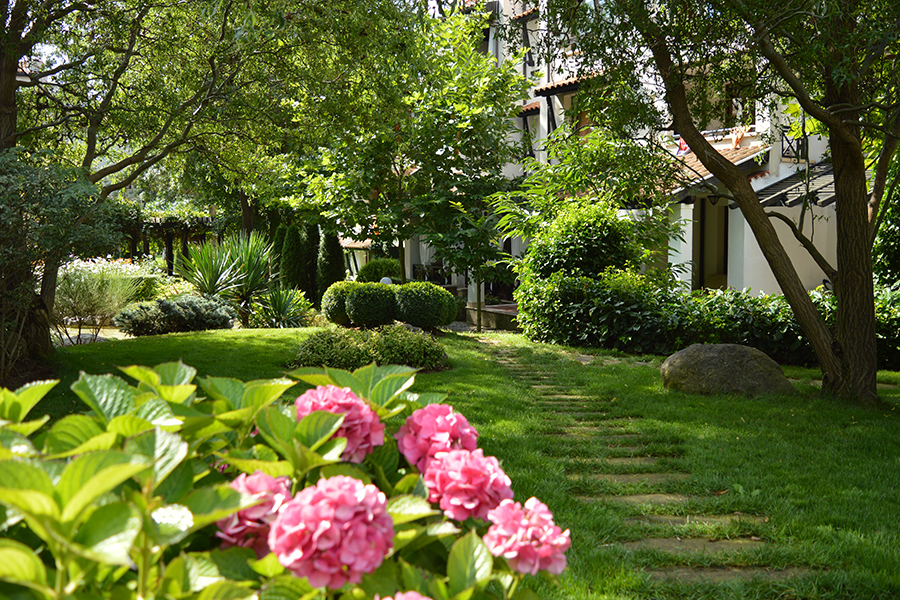 Oasis Premium Apart Hotel 3* Лозенец