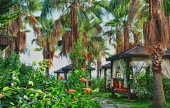 Mukarnas Spa Resort 5