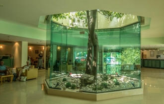 Complex Magnolia