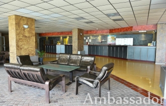 Ambasador