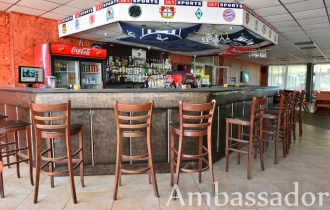 Ambasador