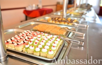 Ambasador