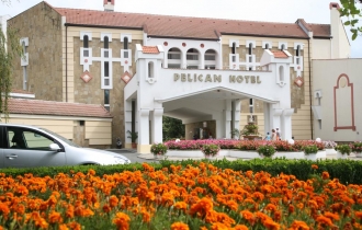Pelican