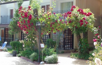 Jupiter *** (Sunny Beach)