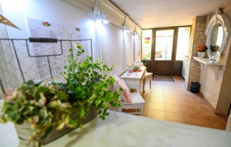 Chichin FH sx Not defined