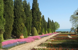 Lotos Balchik