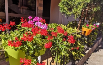 Tropics Hotel