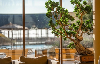 HVD Club hotel MIRAMAR