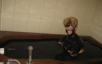 Complex Relax Pomorie