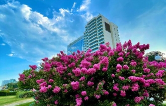 International Hotel Casino & Tower Suites