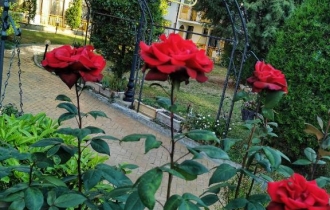 Trakia Garden