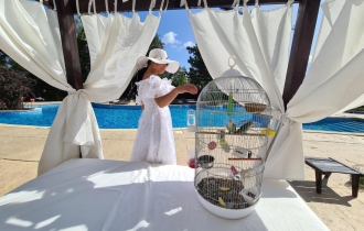 Apollo Golden Sands (former Double Tree by Hilton)