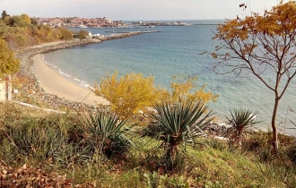 Vigo Panorama