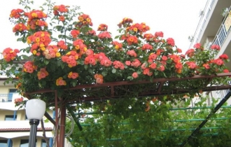 Ilka Family Hotel