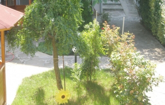 Morski Dar