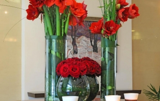 Apollo Golden Sands (former Double Tree by Hilton)