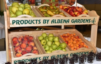 Flamingo Grand Hotel & Spa