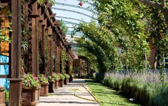 Trakia 3*, Sunny beach