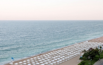 Grifid Sentido Marea