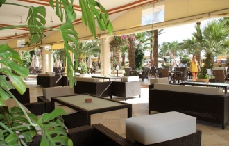 Riadh Palms