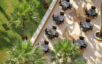 Riadh Palms