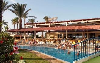 Riadh Palms