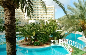 Riadh Palms