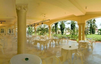 Riadh Palms