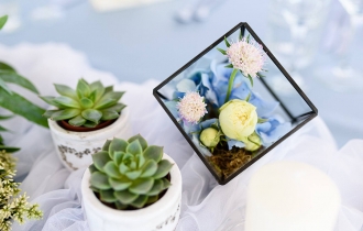 Oasis Premium Apart Hotel 3* Лозенец