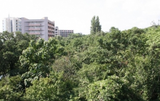 Sunny Varshava