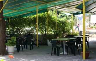Sunny Varshava