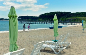 Forest Beach