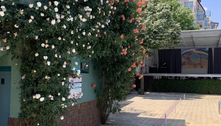 Літній табір GOLDEN ROYAL CAM, Сонячний Берег Літній табір GOLDEN ROYAL CAM, Сонячний Берег