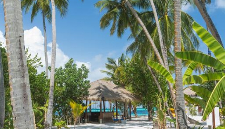 Malahini Kuda Bandos 4 Malahini Kuda Bandos 4