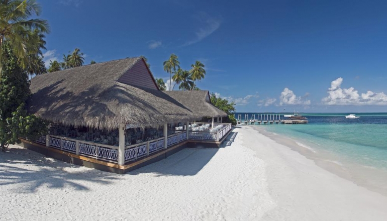 Malahini Kuda Bandos 4 Malahini Kuda Bandos 4